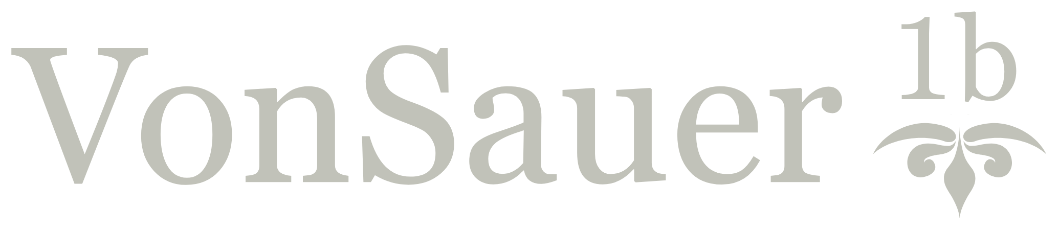 Projektseite Von-Sauer-Strasse-1b