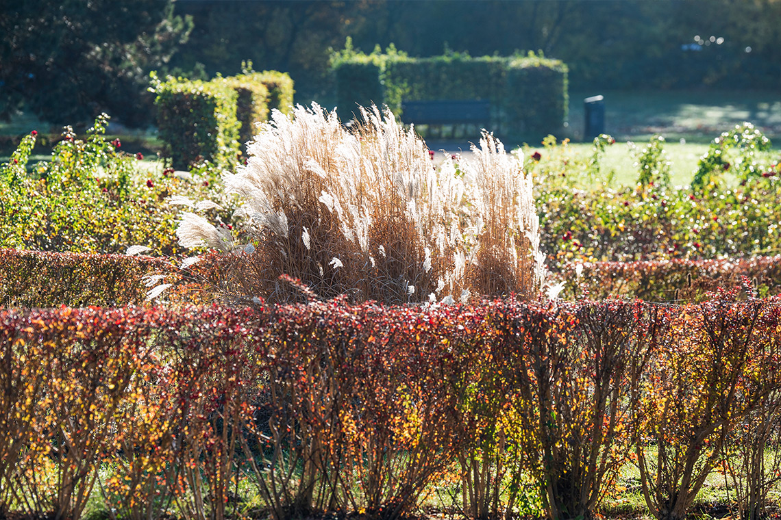 Von-Sauer-Strasse_1b_Projekt_Lageslider_2