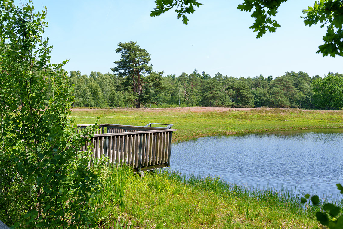 Wedeler_Landstrasse_32_Projekt_Lageslider_7