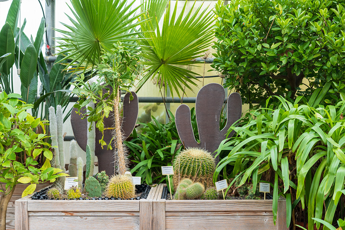 Dernauer_Strasse_20_20a_Projekt_Lageslider_1