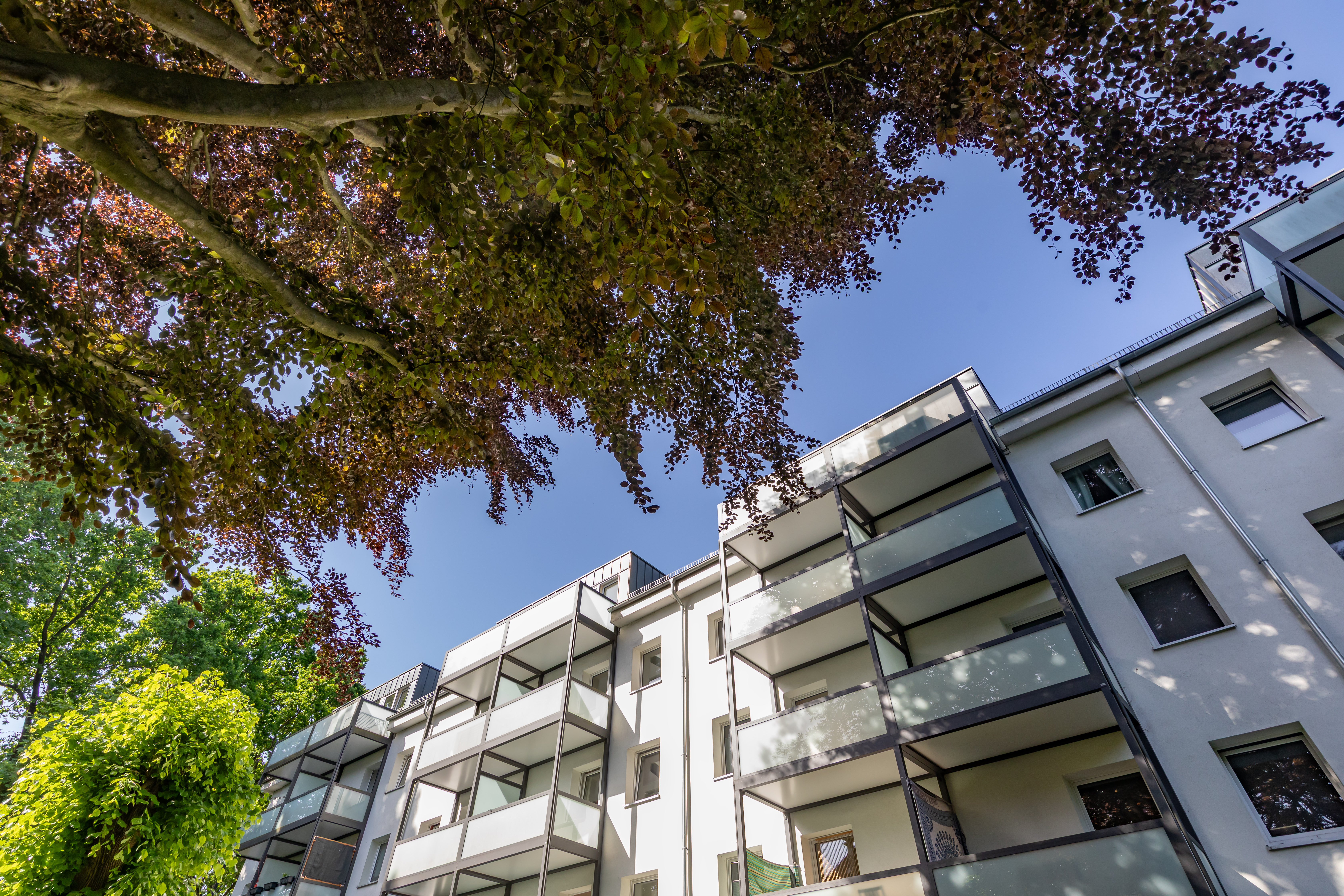 Lorichstr_2_28_2 (7)